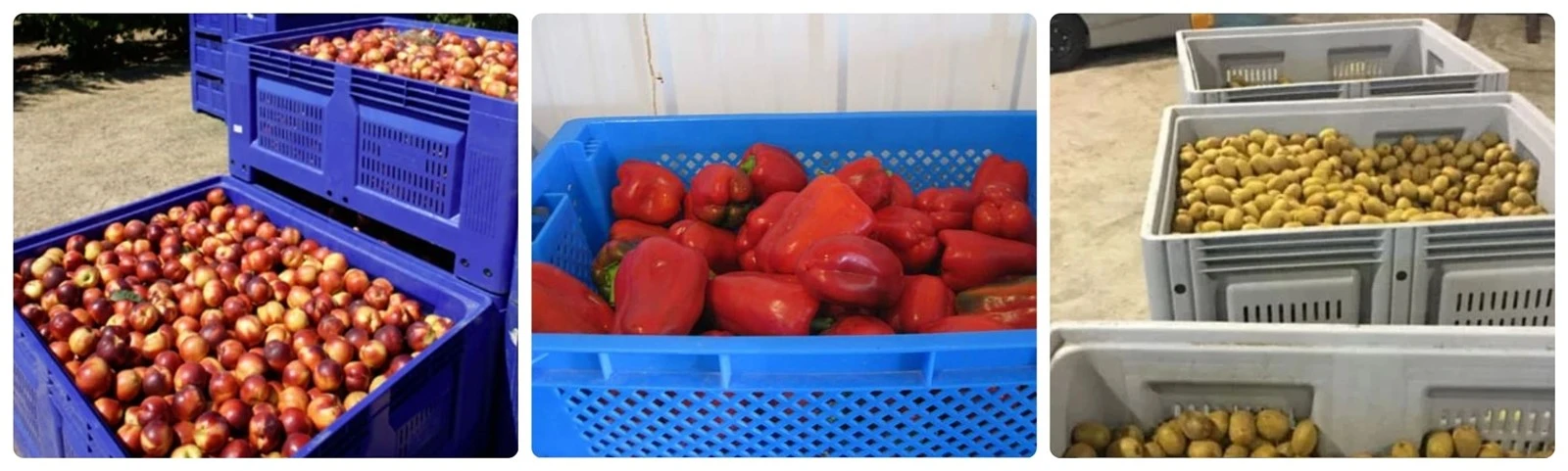 Harvest-Use-Cases-Plastic-Crates-Fruits-Vegetables Harvest-Use-Cases-Plastic-Crates-Fruits-Vegetables